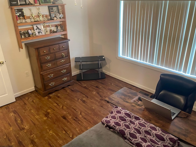 living area featuring dark wood-type flooring