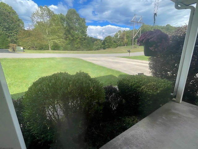 490 Deer Creek Ln, Buckhannon, WV 26201 - view of yard