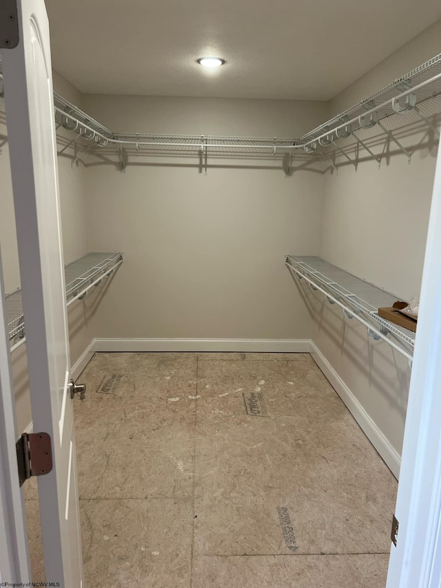 view of spacious closet