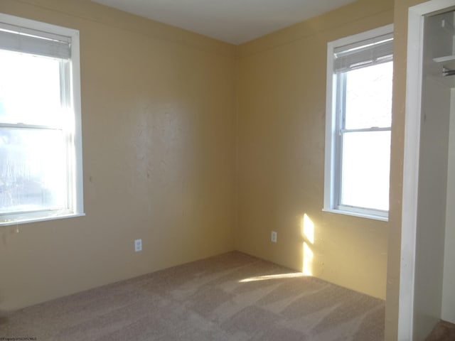 carpeted empty room featuring a healthy amount of sunlight