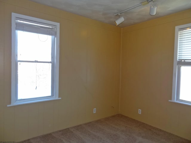 carpeted empty room featuring rail lighting, ceiling fan, and a wealth of natural light