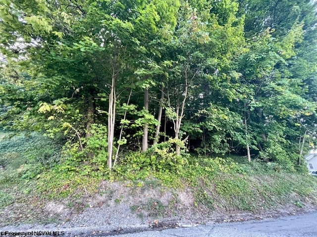 PARCEL312 Lorentz Ave, Morgantown WV, 26505 land for sale