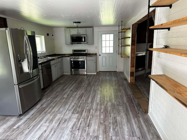 kitchen featuring gray cabinets, appliances with stainless steel finishes, dark wood-type flooring, and a healthy amount of sunlight