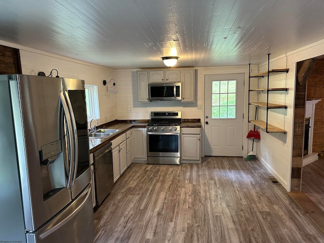 kitchen with appliances with stainless steel finishes, dark hardwood / wood-style floors, and sink