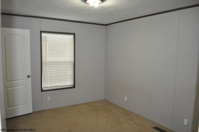 empty room featuring light colored carpet and a textured ceiling