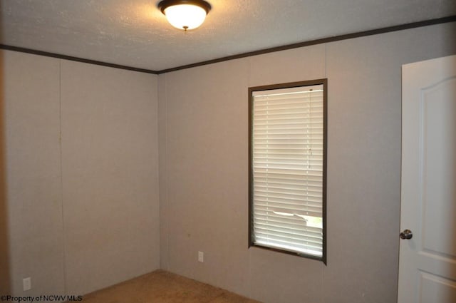 empty room with a textured ceiling