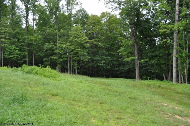 227 Joe Kincaid Rd, Fairmont, WV 26554 - view of tree filled area