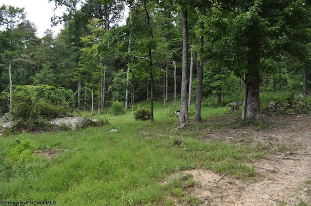 227 Joe Kincaid Rd, Fairmont, WV 26554 - view of wooded area