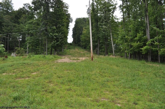 227 Joe Kincaid Rd, Fairmont, WV 26554 - view of woods