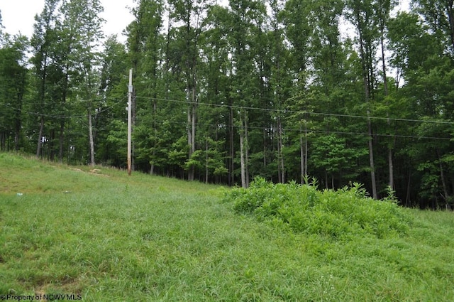 227 Joe Kincaid Rd, Fairmont, WV 26554 - view of wooded area