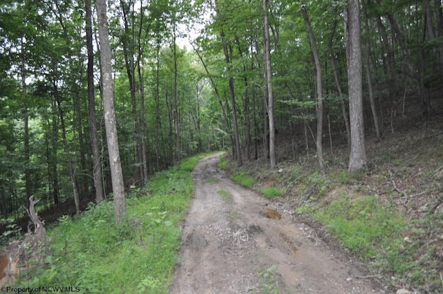 227 Joe Kincaid Rd, Fairmont, WV 26554 - view of street with a view of trees