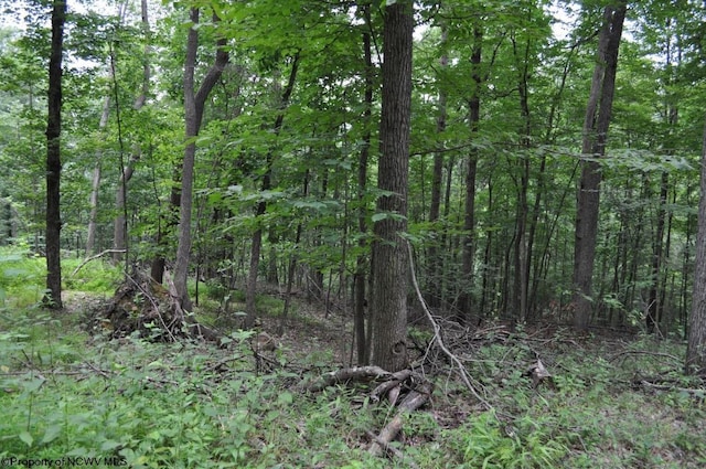 227 Joe Kincaid Rd, Fairmont, WV 26554 - view of wooded area