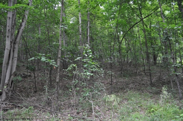 227 Joe Kincaid Rd, Fairmont, WV 26554 - view of wooded area