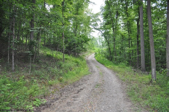 227 Joe Kincaid Rd, Fairmont, WV 26554 - view of road featuring a view of trees