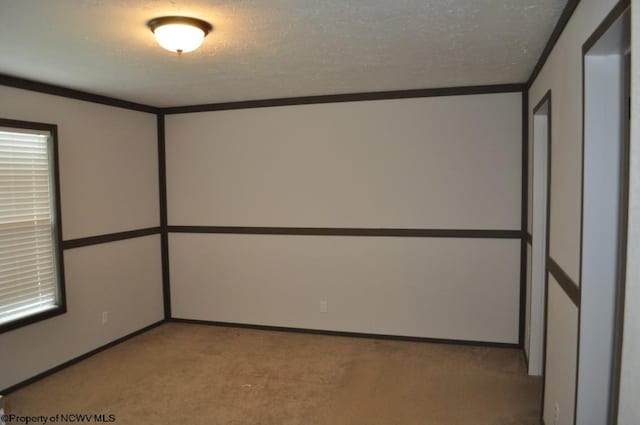 spare room featuring light carpet, a textured ceiling, and crown molding