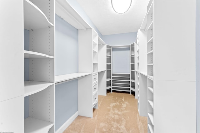 spacious closet featuring light colored carpet