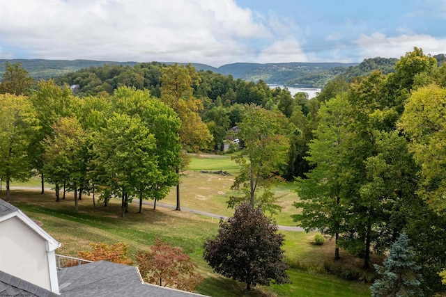 view of property's community with a lawn