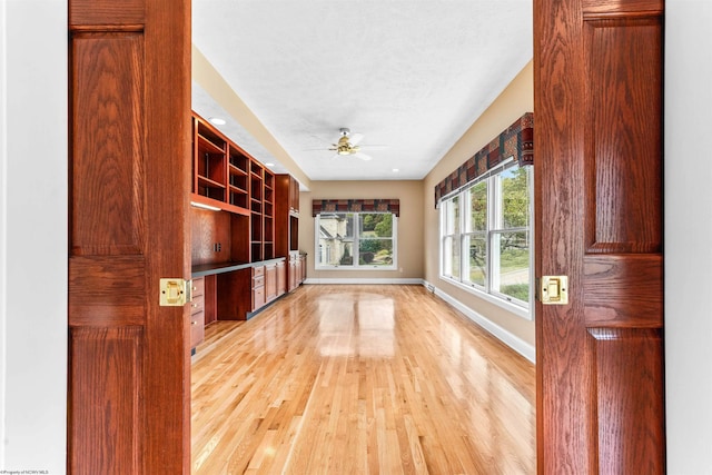 interior space featuring light hardwood / wood-style floors and ceiling fan