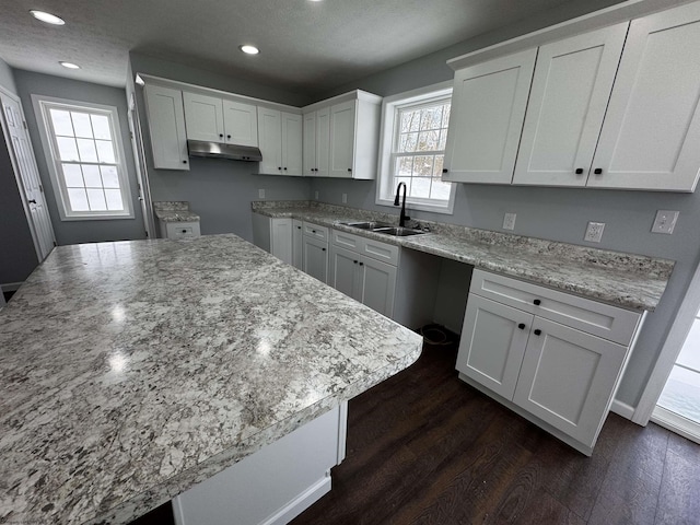 kitchen with sink, white cabinets, light stone counters, and dark hardwood / wood-style floors