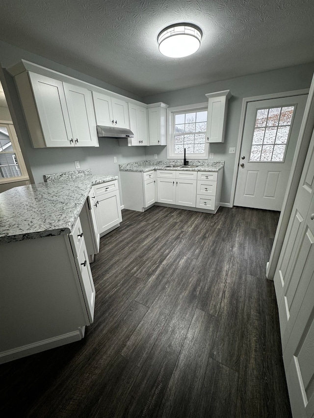 kitchen featuring white cabinets, light stone countertops, dark hardwood / wood-style flooring, and sink