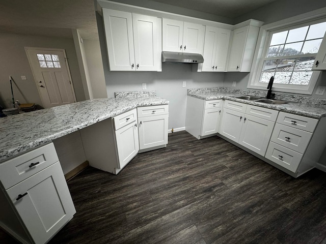 kitchen featuring sink, dark hardwood / wood-style flooring, white cabinetry, and light stone countertops