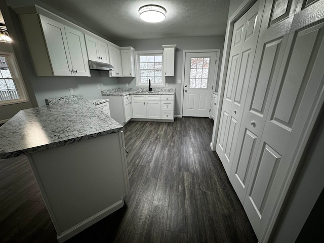 kitchen featuring sink, white cabinetry, dark hardwood / wood-style floors, and a textured ceiling