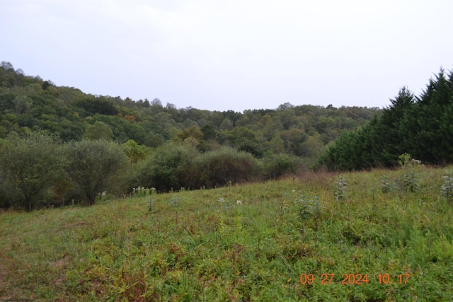 00000 Dutch Holw, Weston WV, 26452 land for sale