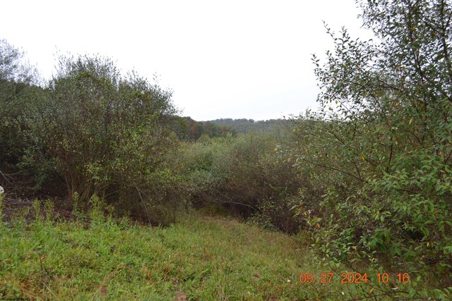 00000 Dutch Holw, Weston, WV 26452