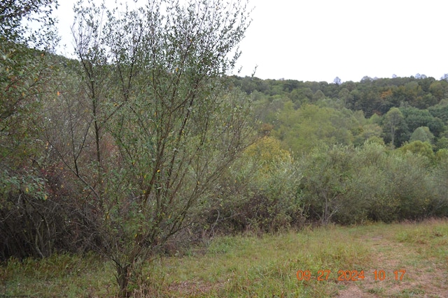 00000 Dutch Holw, Weston, WV 26452