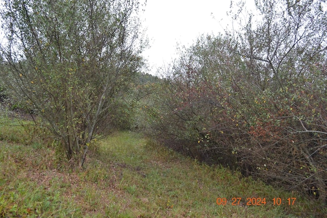 00000 Dutch Holw, Weston, WV 26452