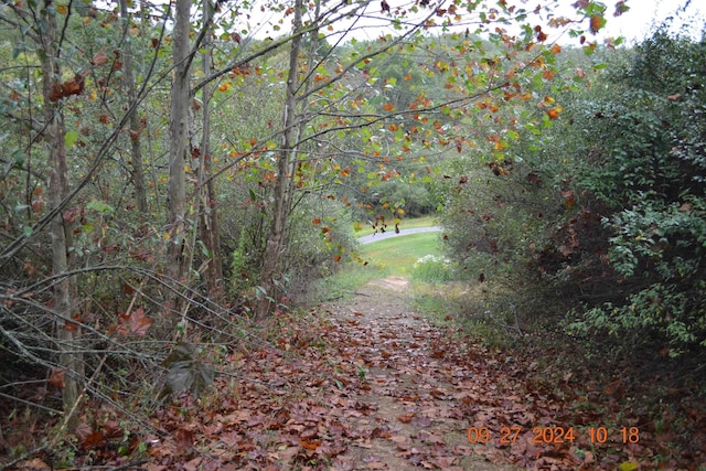 00000 Dutch Holw, Weston, WV 26452