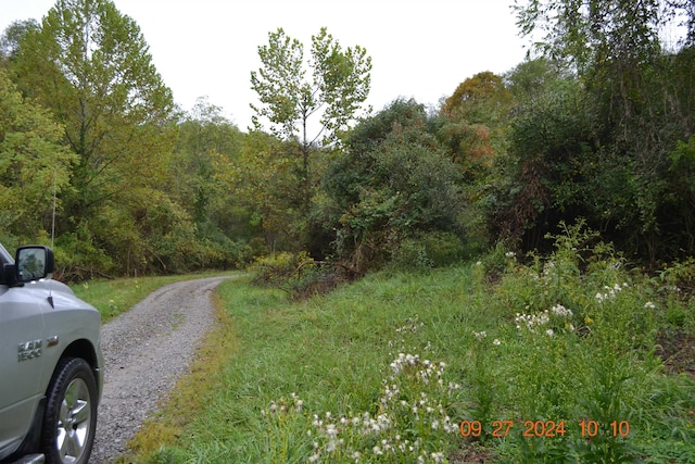 Listing photo 3 for 00000 Dutch Holw, Weston WV 26452