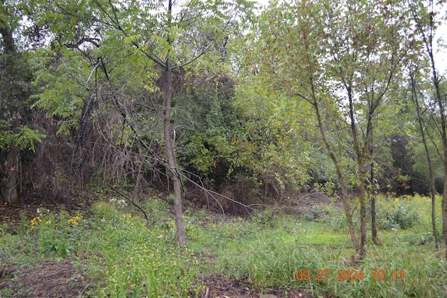 00000 Dutch Holw, Weston, WV 26452