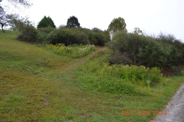00000 Dutch Holw, Weston, WV 26452