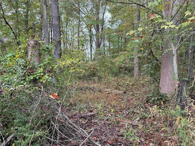 TBD Mccue St, Monongah WV, 26554 land for sale