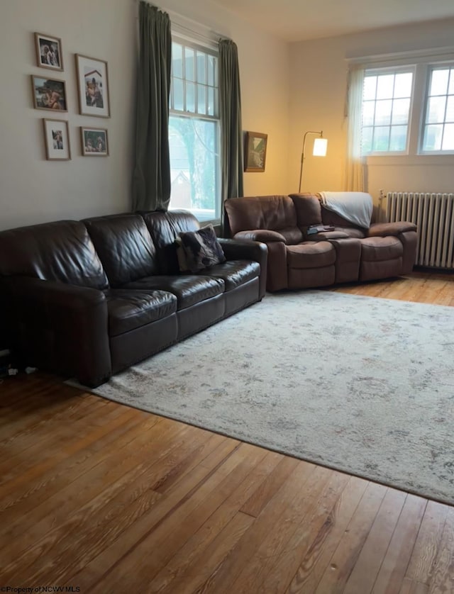 living room with light hardwood / wood-style flooring and radiator