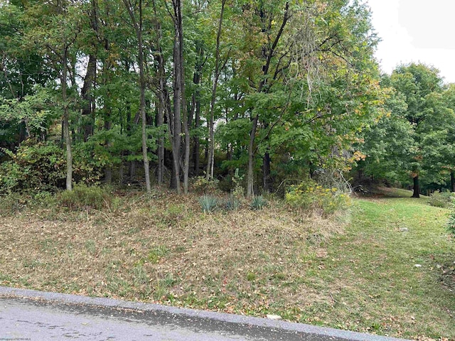 LOT45 Courtney Ave, Morgantown WV, 26501 land for sale