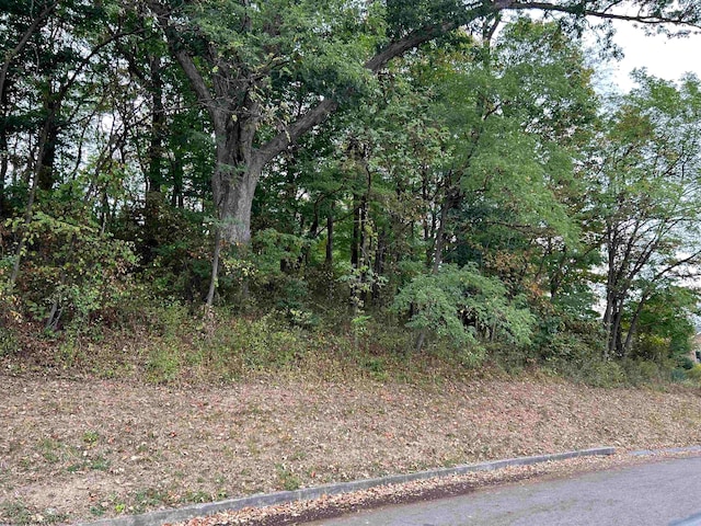 Listing photo 3 for LOT45 Courtney Ave, Morgantown WV 26501