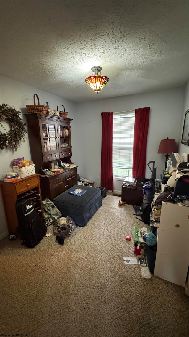 carpeted bedroom with a textured ceiling