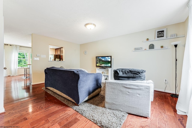 living room with hardwood / wood-style flooring