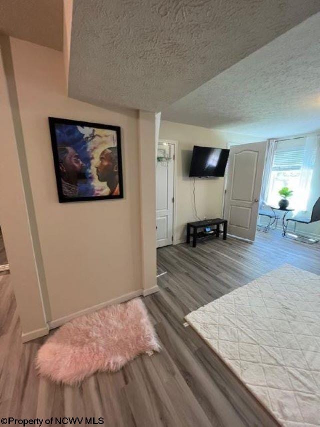 interior space featuring wood-type flooring and a textured ceiling