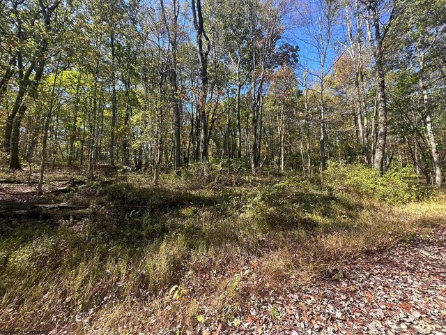 20 Rhododendron Dr, Terra Alta WV, 26764 land for sale