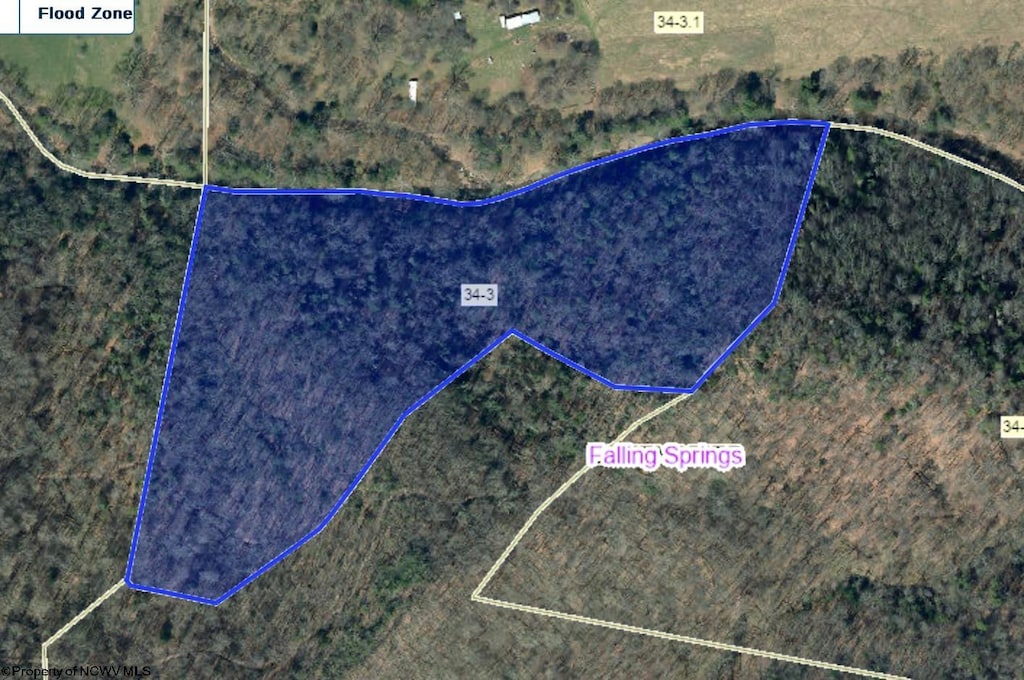 TBD Leonard Cordova Road, Renick, WV 24996