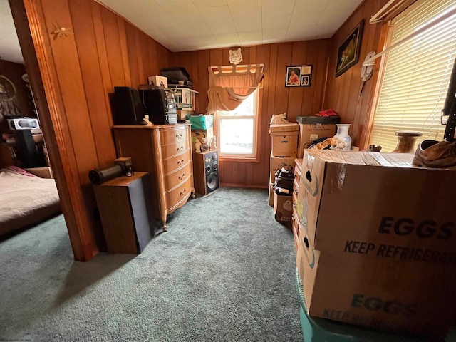 bedroom with wooden walls and carpet