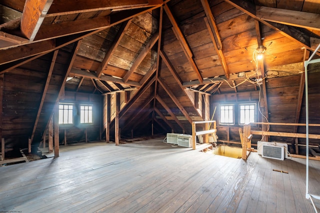 unfinished attic featuring a healthy amount of sunlight