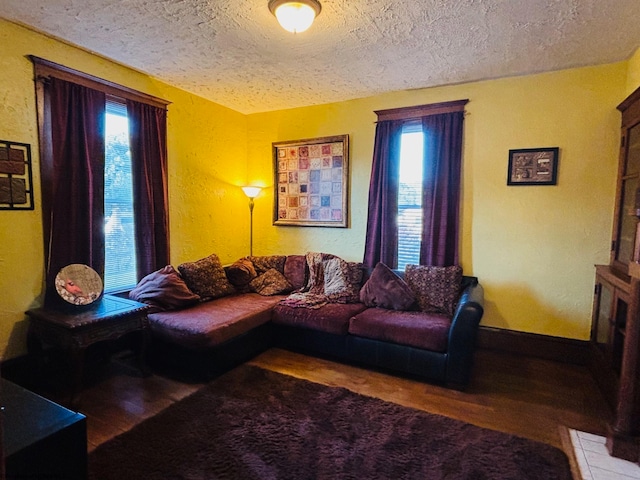 living room featuring wood-type flooring and a textured ceiling