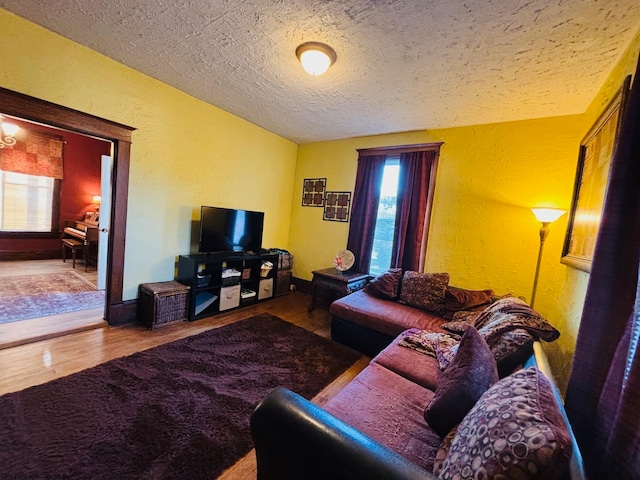 living room featuring hardwood / wood-style flooring and a textured ceiling