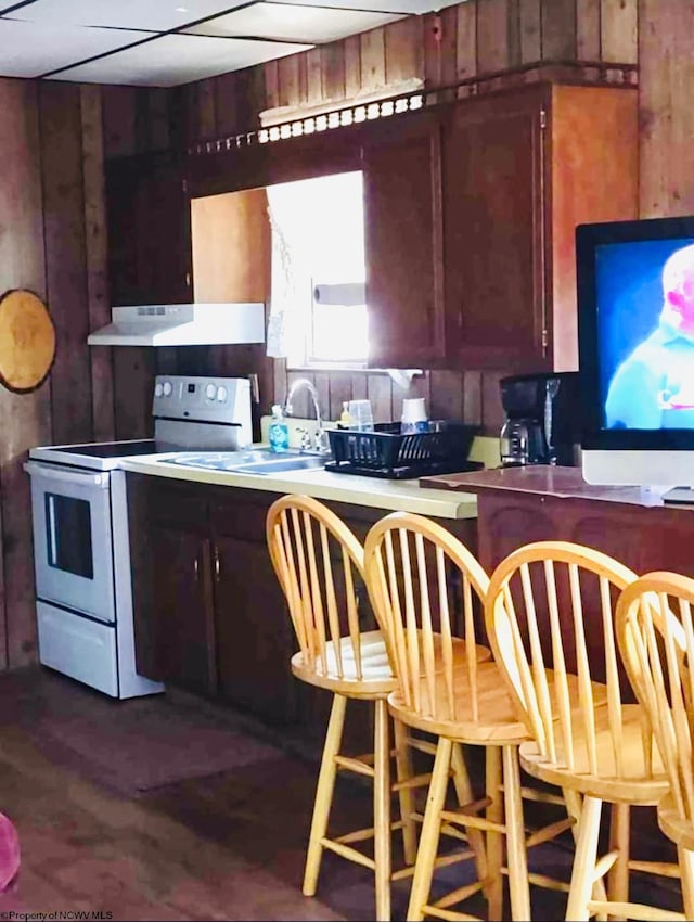 kitchen with dark hardwood / wood-style flooring, wooden walls, white range with electric cooktop, and sink