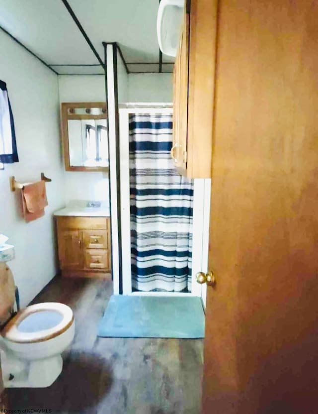 bathroom featuring vanity, toilet, and a shower with shower curtain