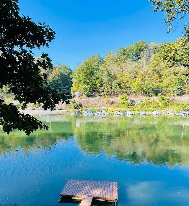 dock area with a water view